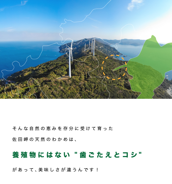 佐田岬半島イメージ