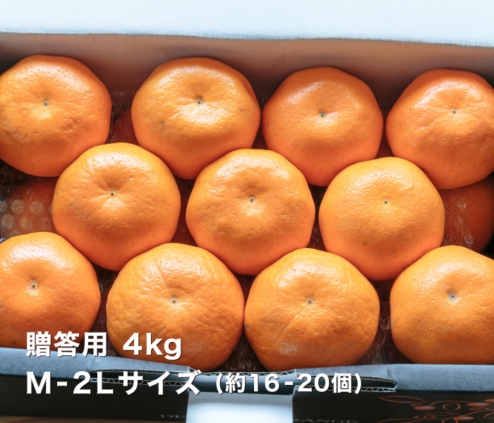 贈答はるみ4kg