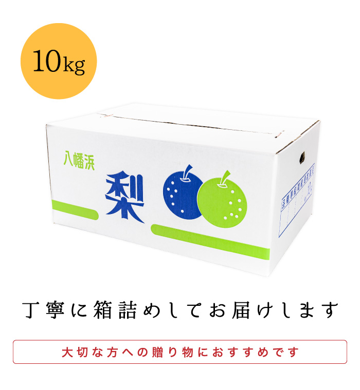 梱包イメージ