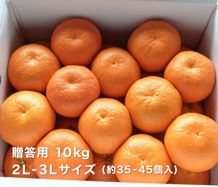 贈答用10kgイメージ