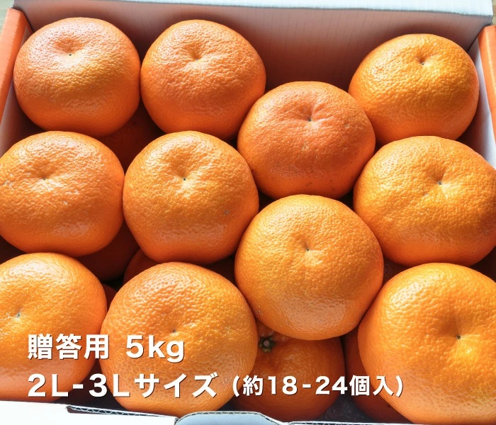 贈答用5kgイメージ