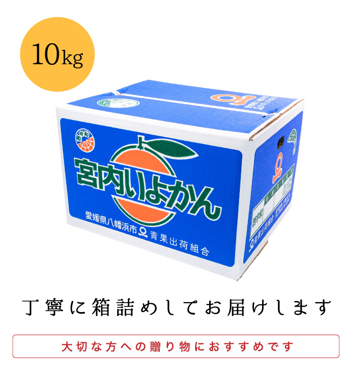 箱