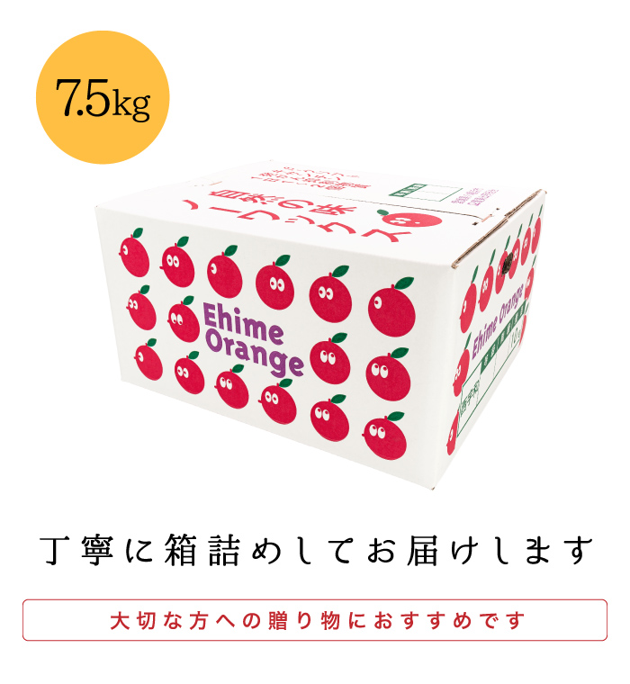箱