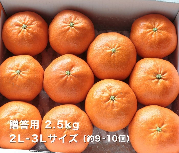 贈答用甘平イメージ