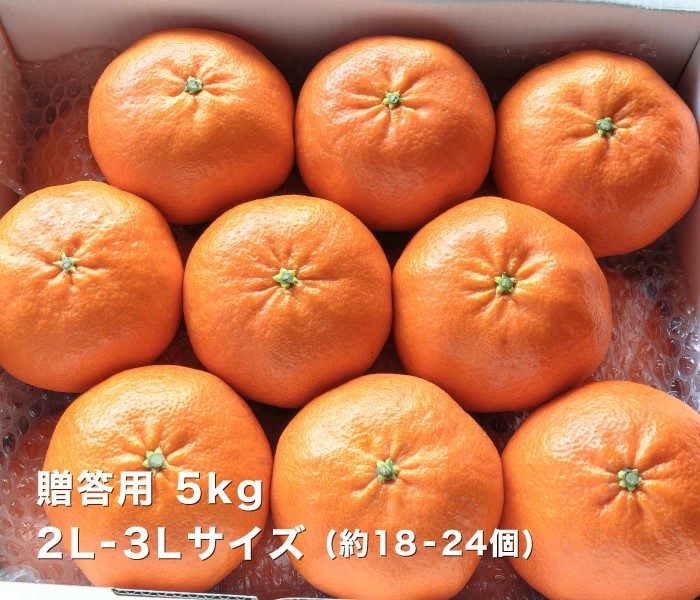 贈答用甘平イメージ