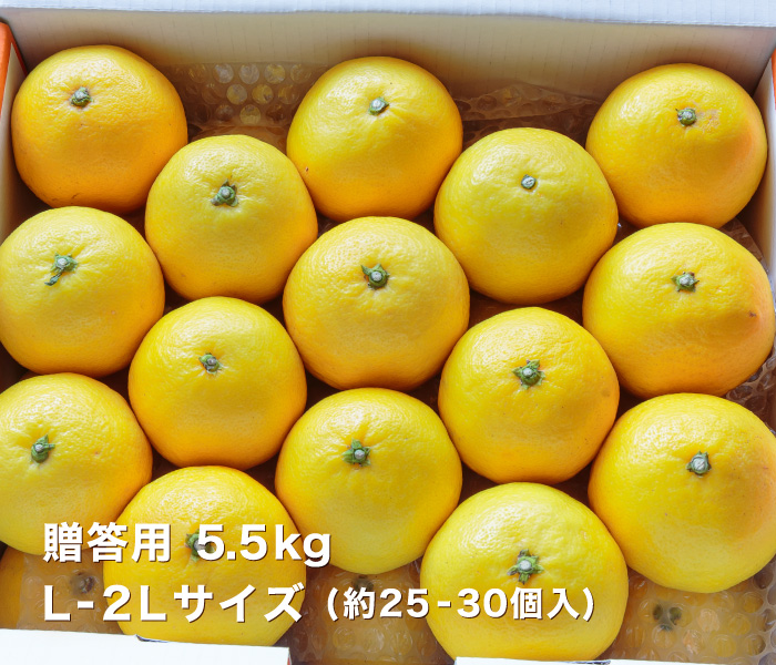 贈答イメージ