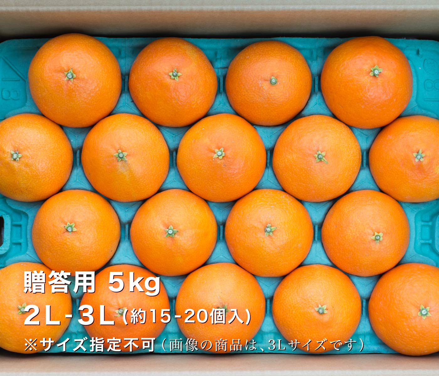 贈答イメージ