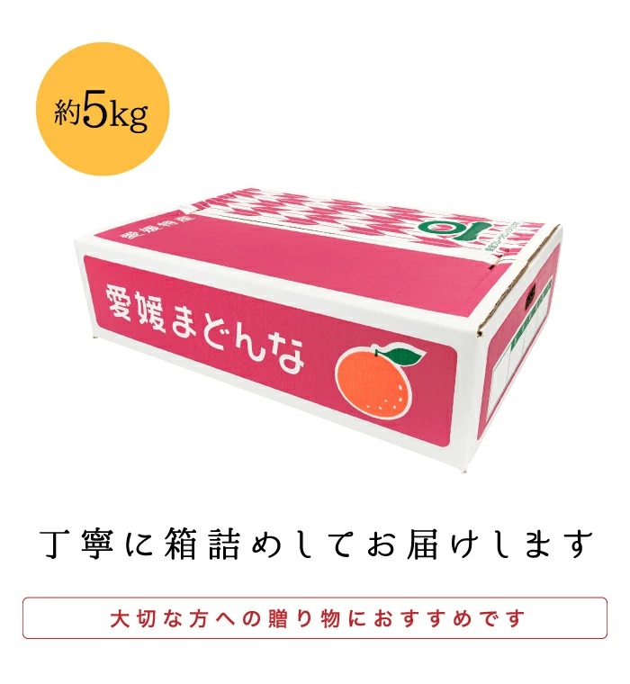 箱