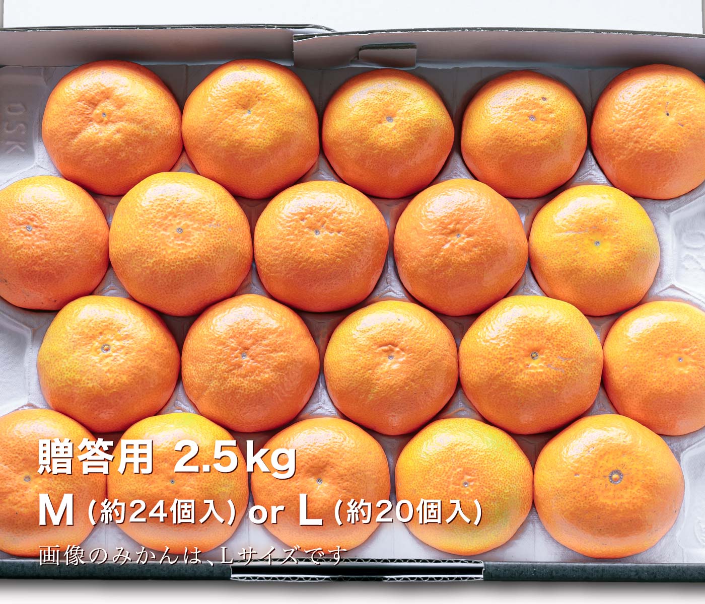 贈答用みかん2.5kg