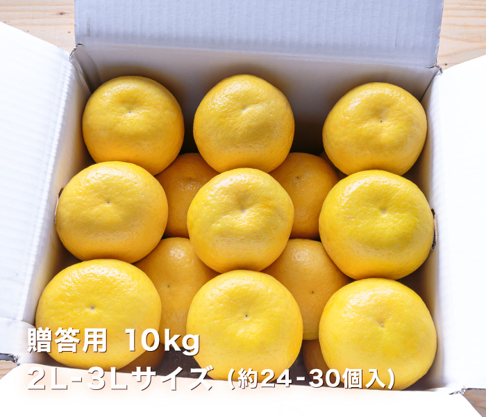 贈答用イメージ