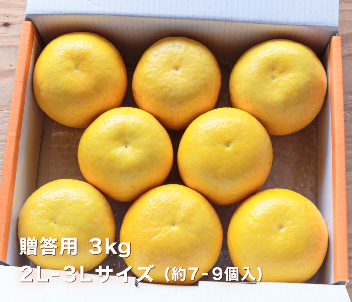 贈答用イメージ