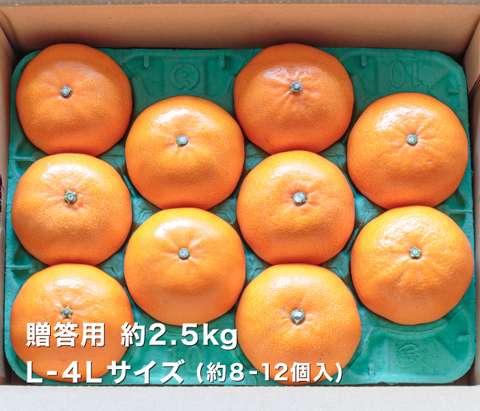 贈答用せとか2.5kgイメージ