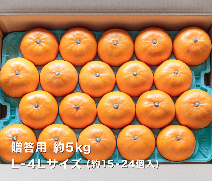 贈答用せとか2.5kgイメージ