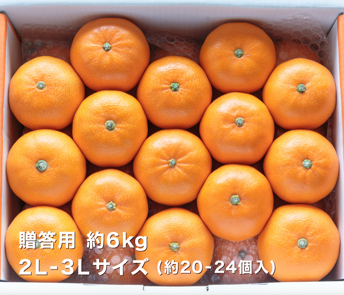 贈答用せとか2.5kgイメージ