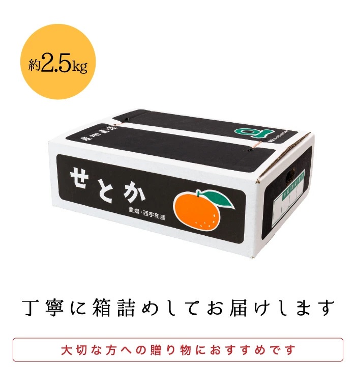梱包