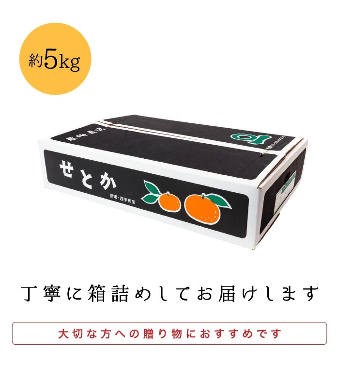 梱包