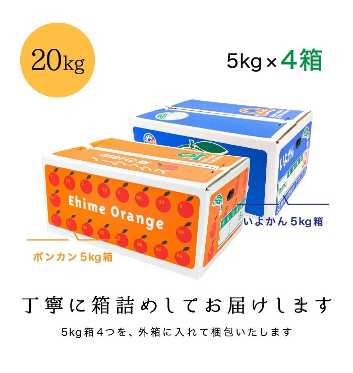 箱