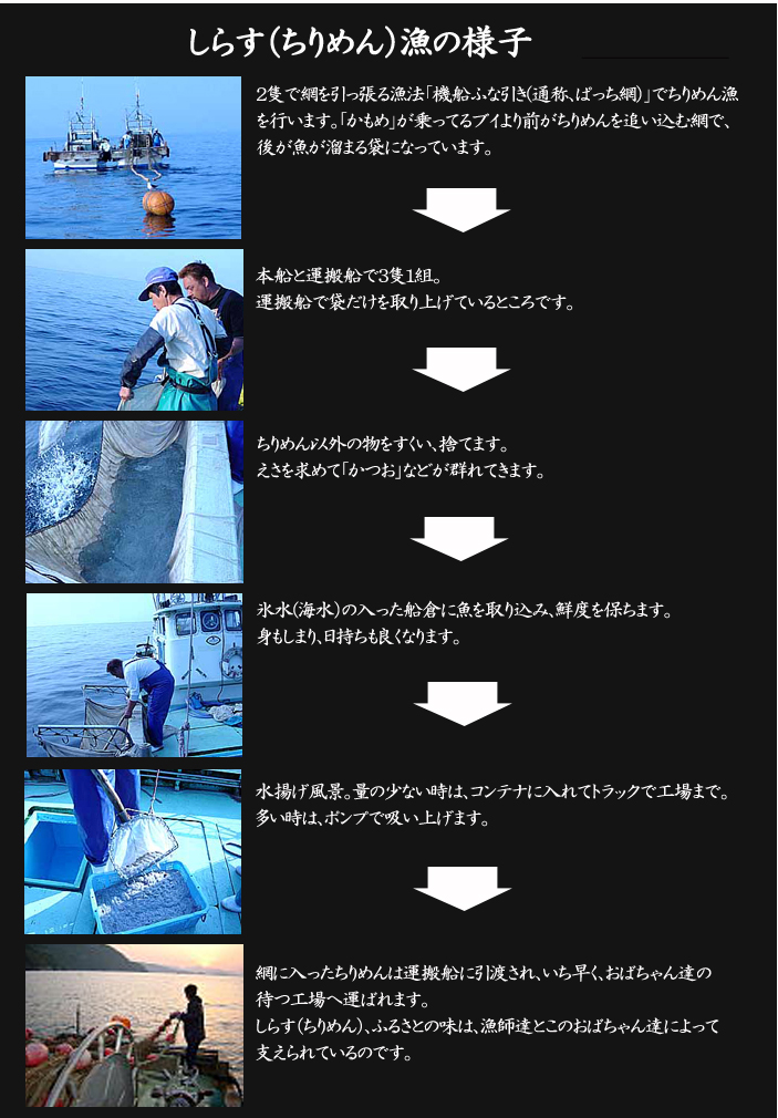 しらす漁