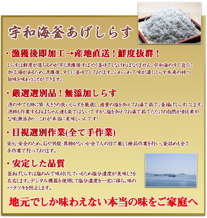 説明