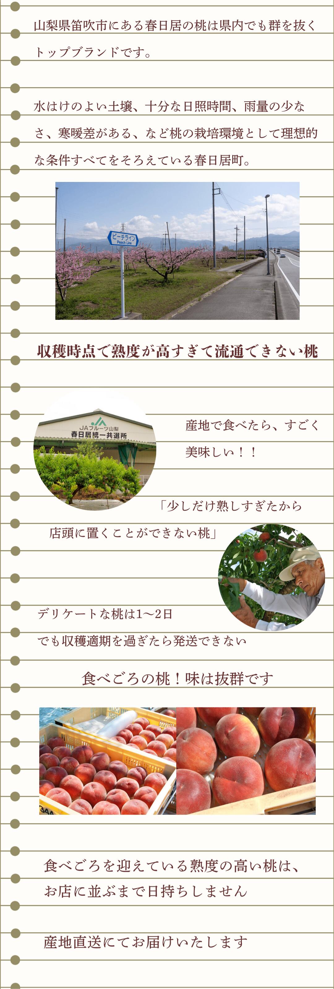 春日居の熟れ桃について