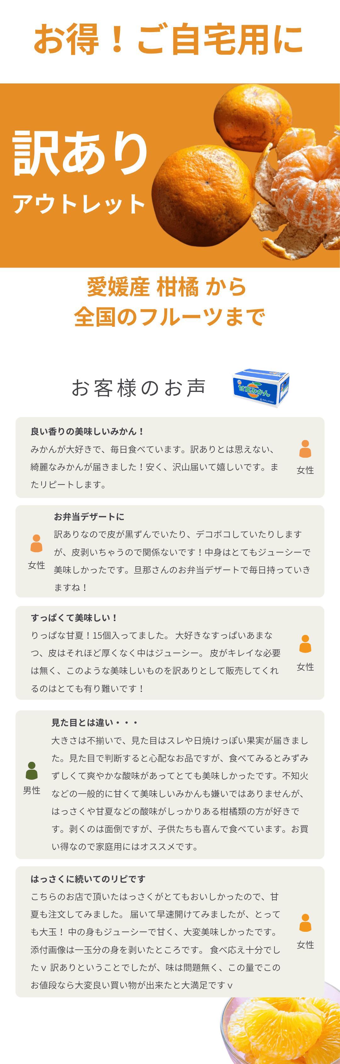 口コミ
