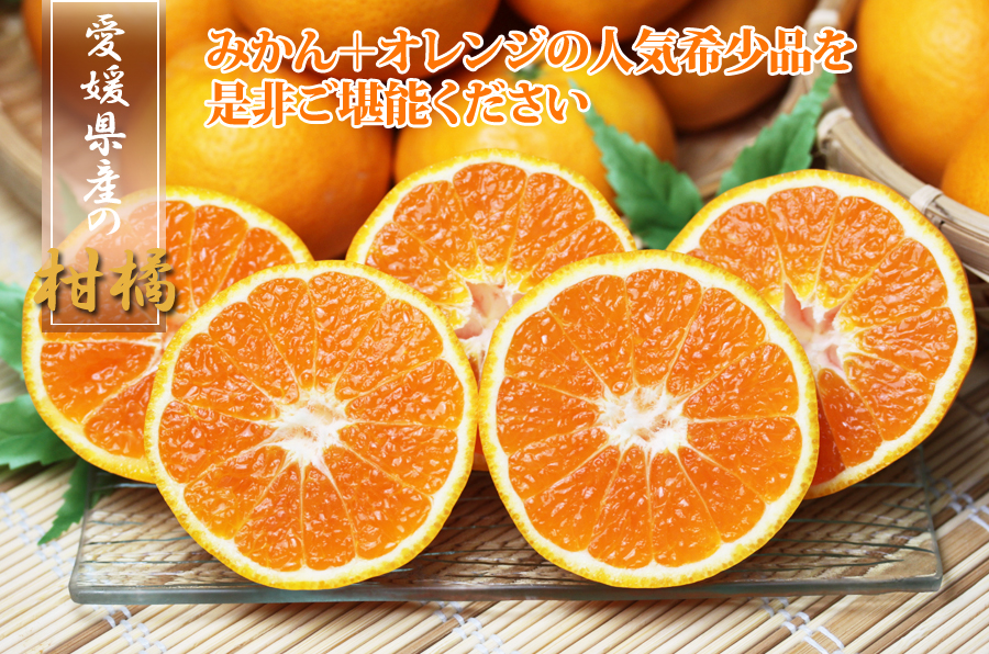 はれひめ