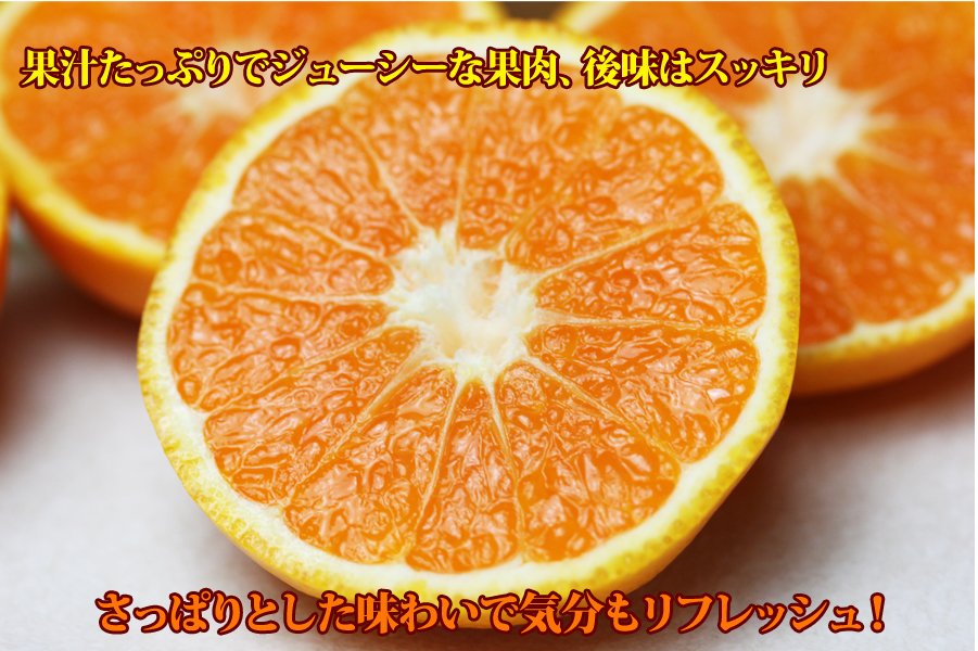 はれひめイメージ