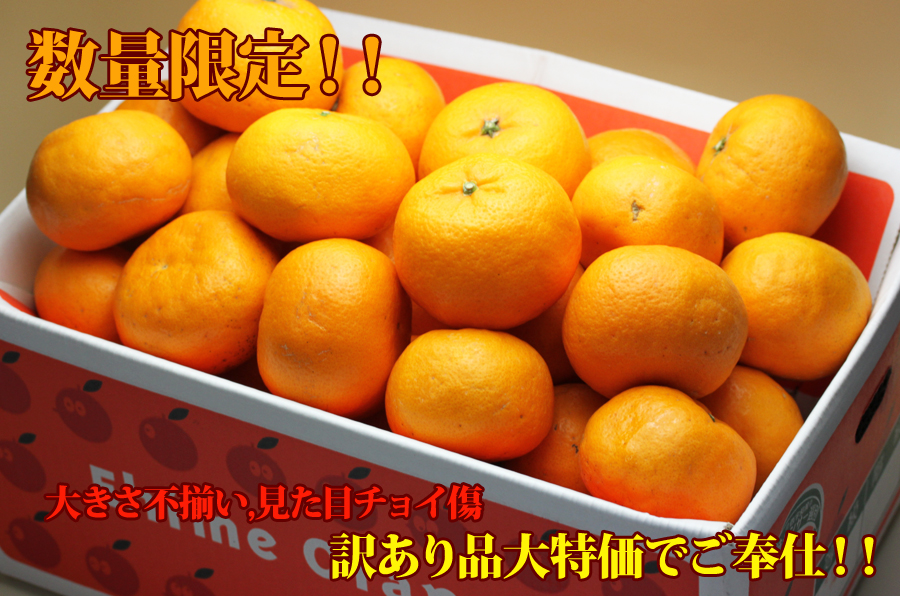訳ありはれひめ