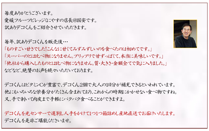説明