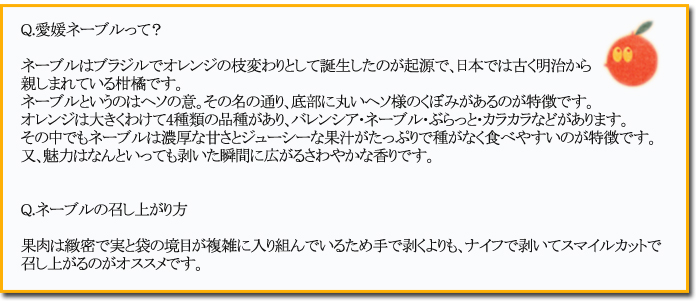 ネーブルについて