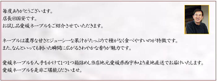 説明