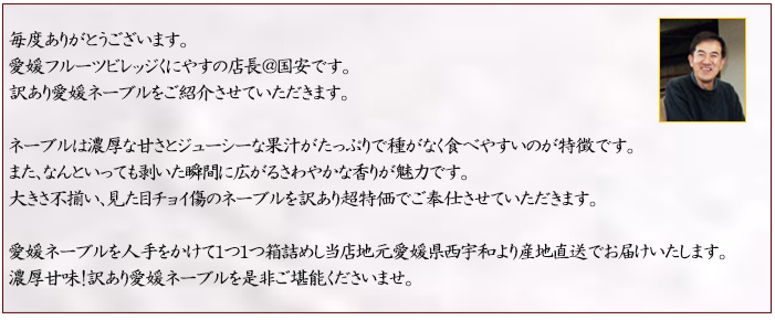 説明