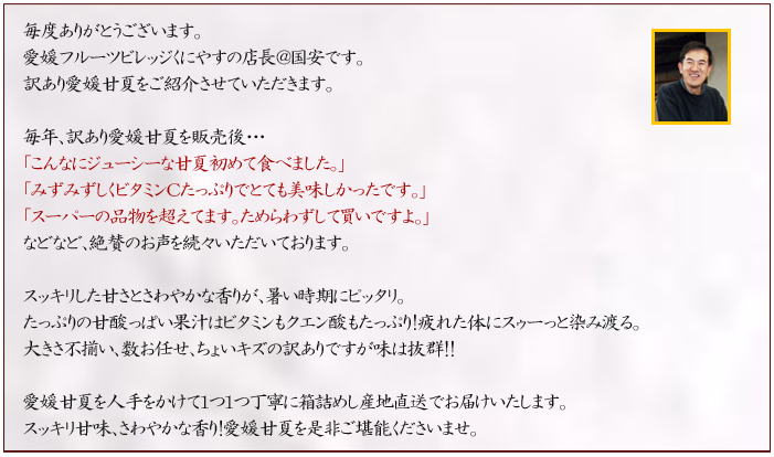 説明