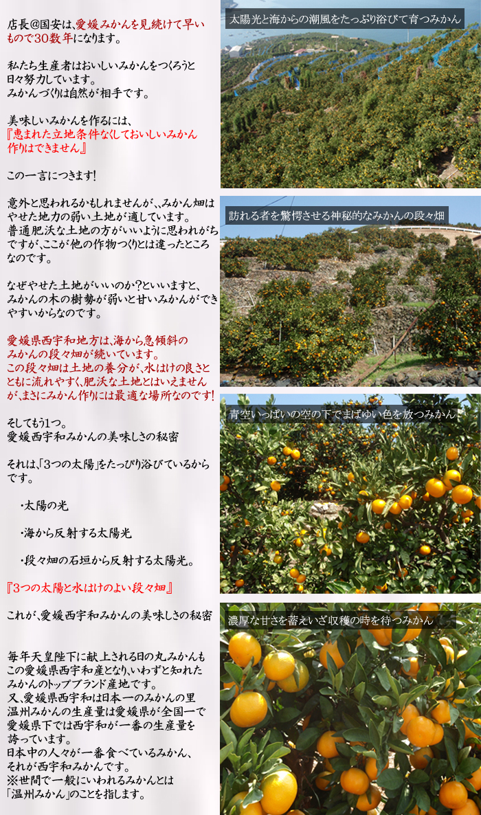 産地２