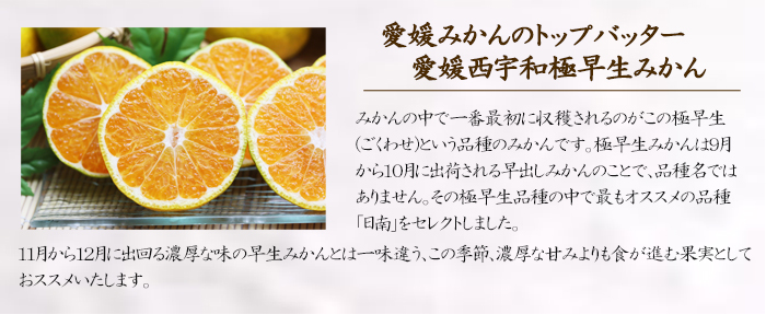 説明３