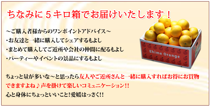 5kg箱