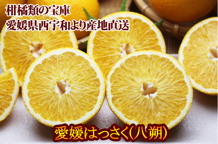 はっさく