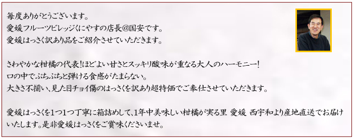 説明