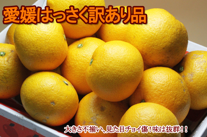 訳ありはっさくイメージ