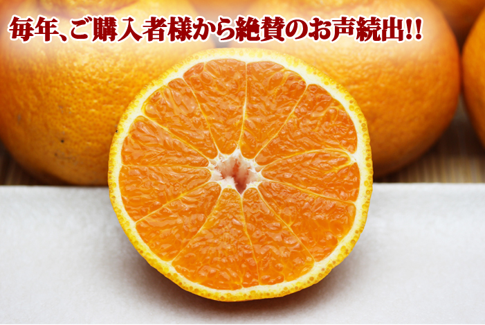 デコくんイメージ1
