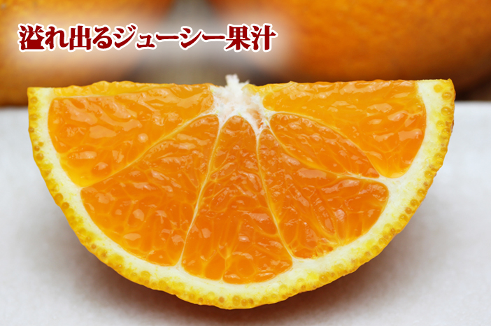 デコくんイメージ2
