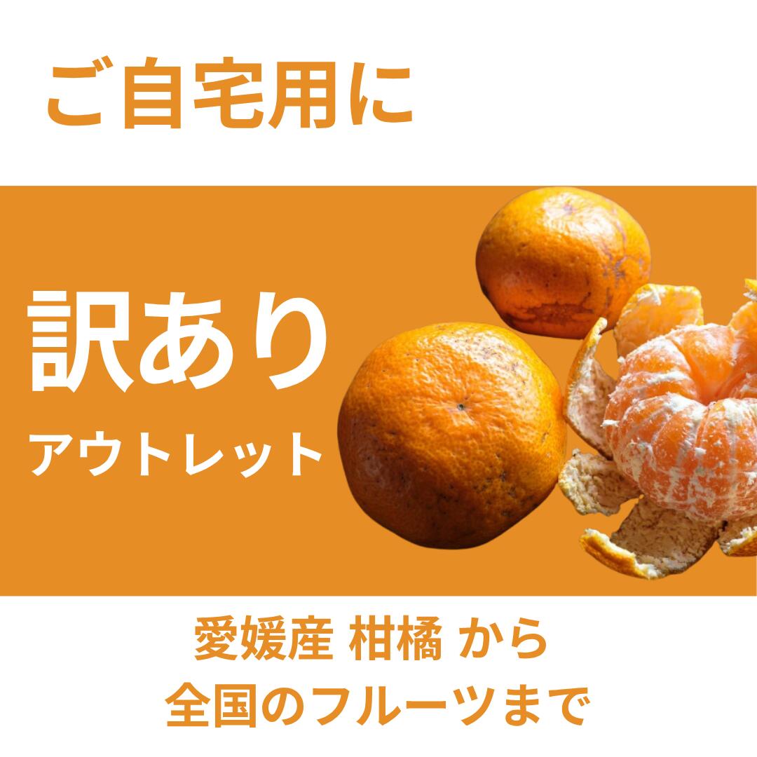 訳あり・アウトレット品