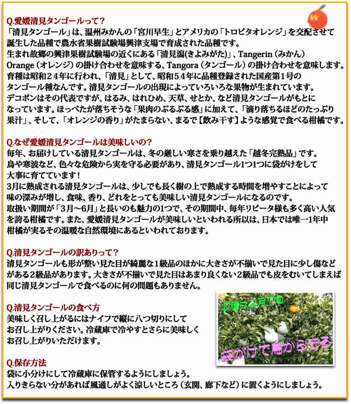 清見タンゴールについて