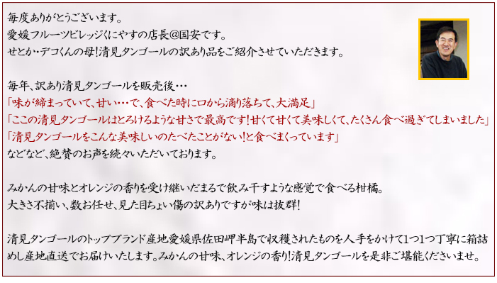 説明