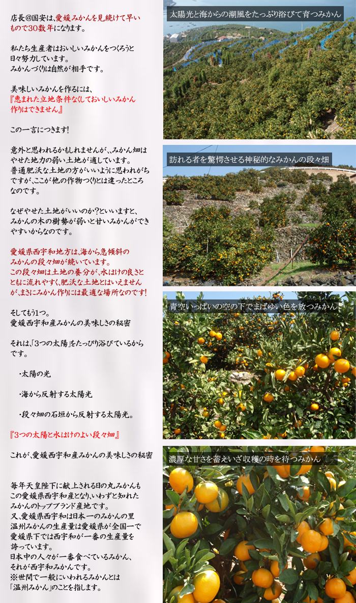 産地2