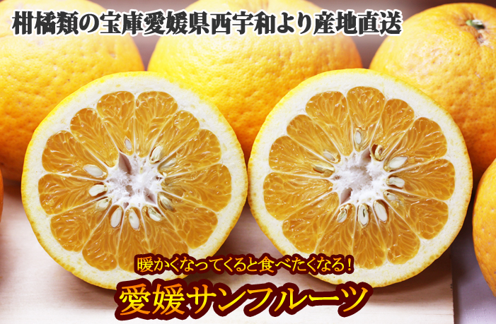 サンフルーツ