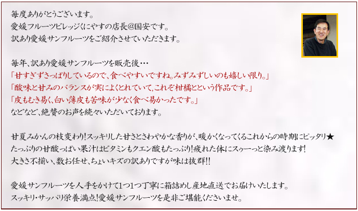 説明