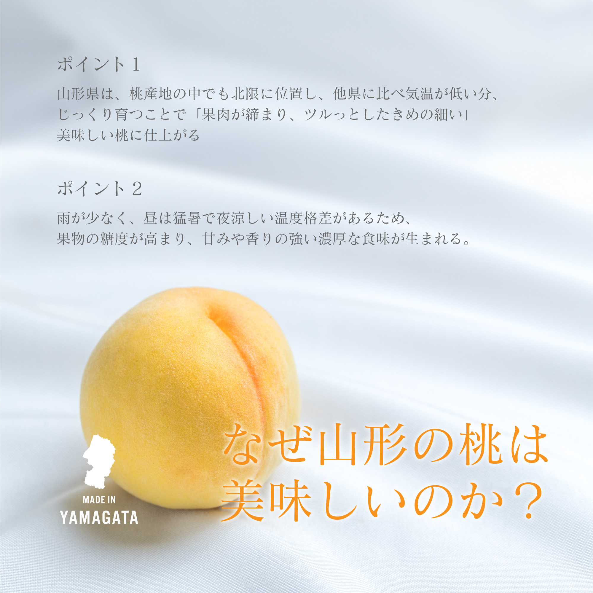 山形の桃が美味しい理由