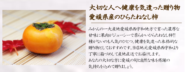 説明１