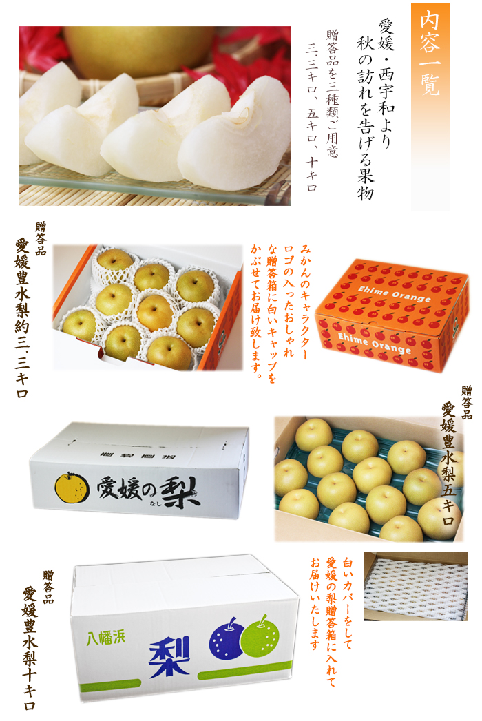 商品ラインナップ